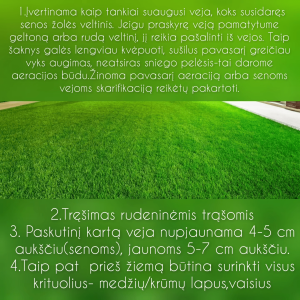 1696587486084