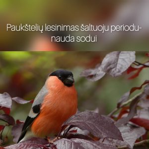 InCollage_20231031_105611582