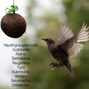 InCollage_20231031_111921098