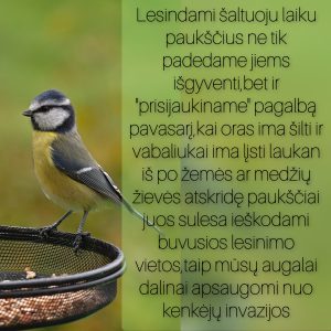 InCollage_20231031_112740534