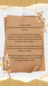 Brown White Aesthetic Scrapbook Blank Page Instagram Story_20250109_150550_0000