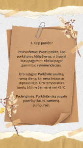 Brown White Aesthetic Scrapbook Blank Page Instagram Story_20250109_150910_0000