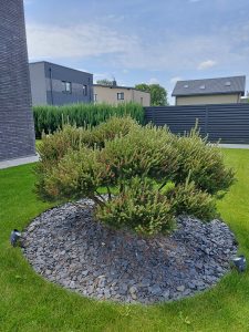 IMG_20240529_132647