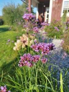 IMG_20240815_075810