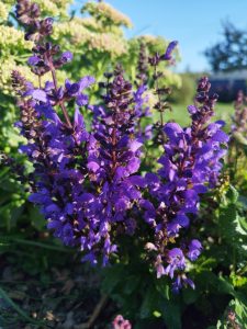 IMG_20240815_080048