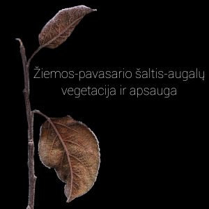 InCollage_20240129_131115655