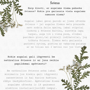 White Green Modern Floral Love Quote Instagram Post_20241211_094735_0000