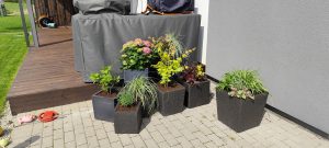 IMG_20250531_155707