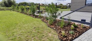 IMG_20250822_123919